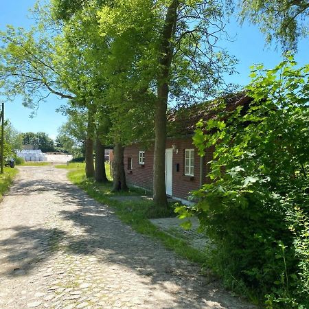 Hofgut Bisdamitz - Ferienhaus "Knoff" Buitenkant foto