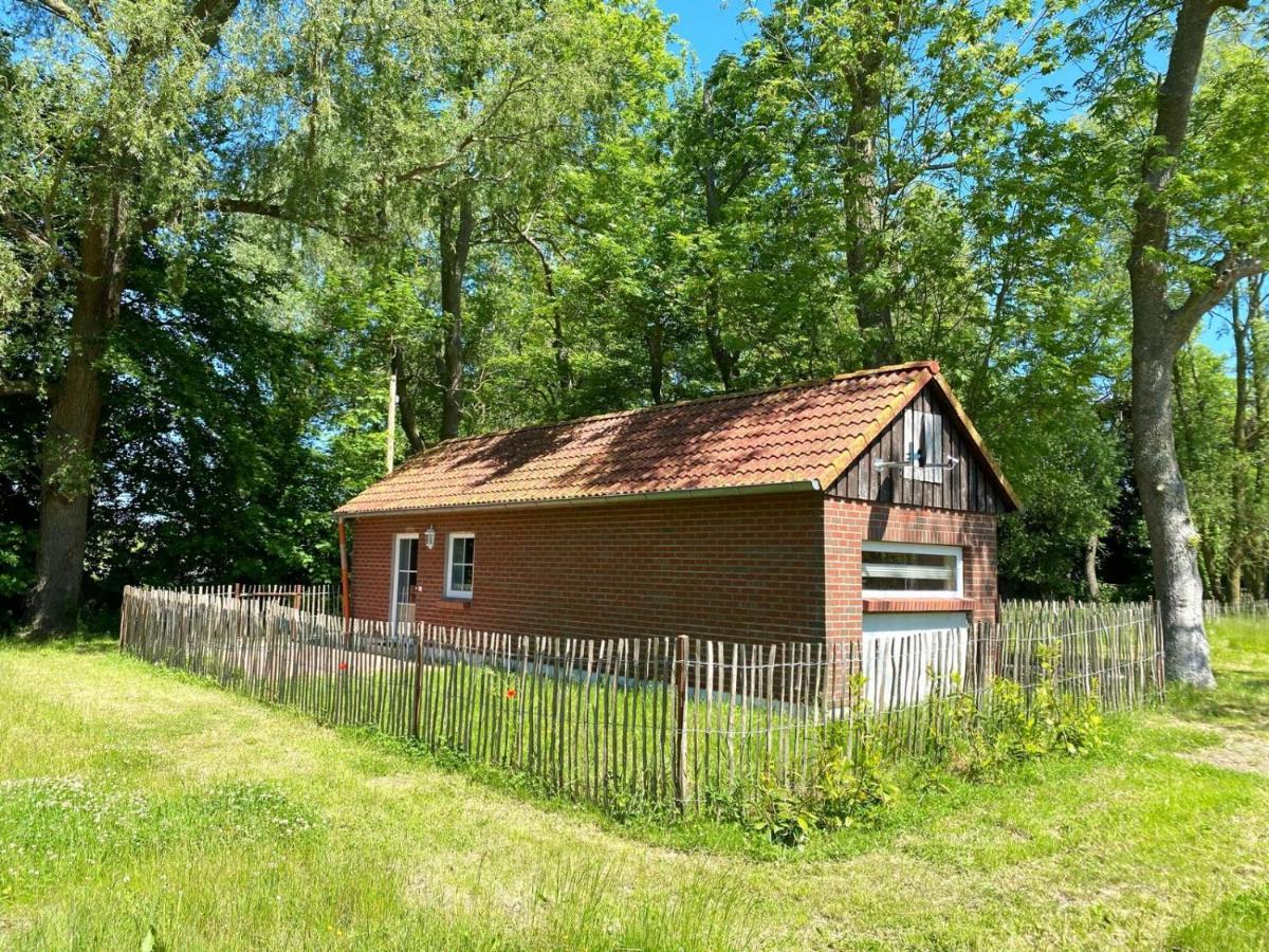 Hofgut Bisdamitz - Ferienhaus "Knoff" Buitenkant foto