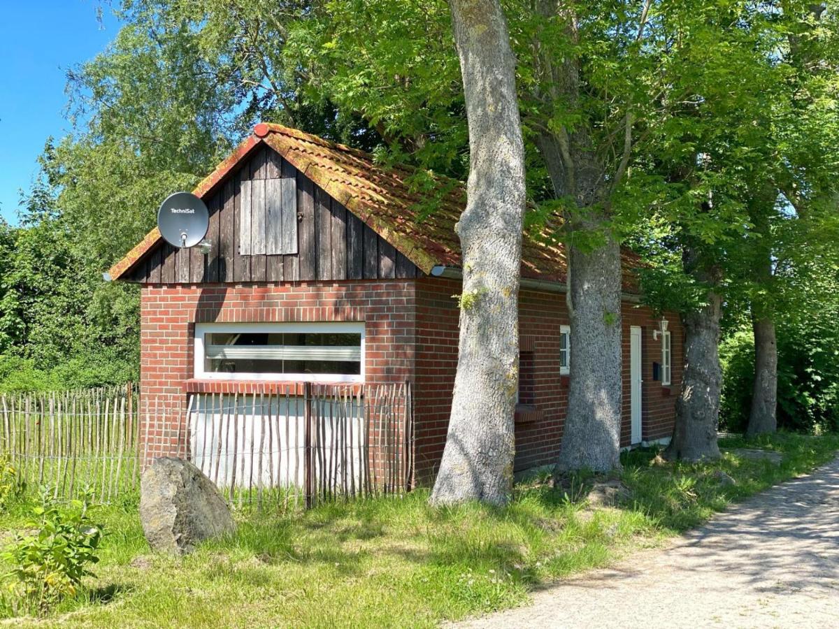 Hofgut Bisdamitz - Ferienhaus "Knoff" Buitenkant foto