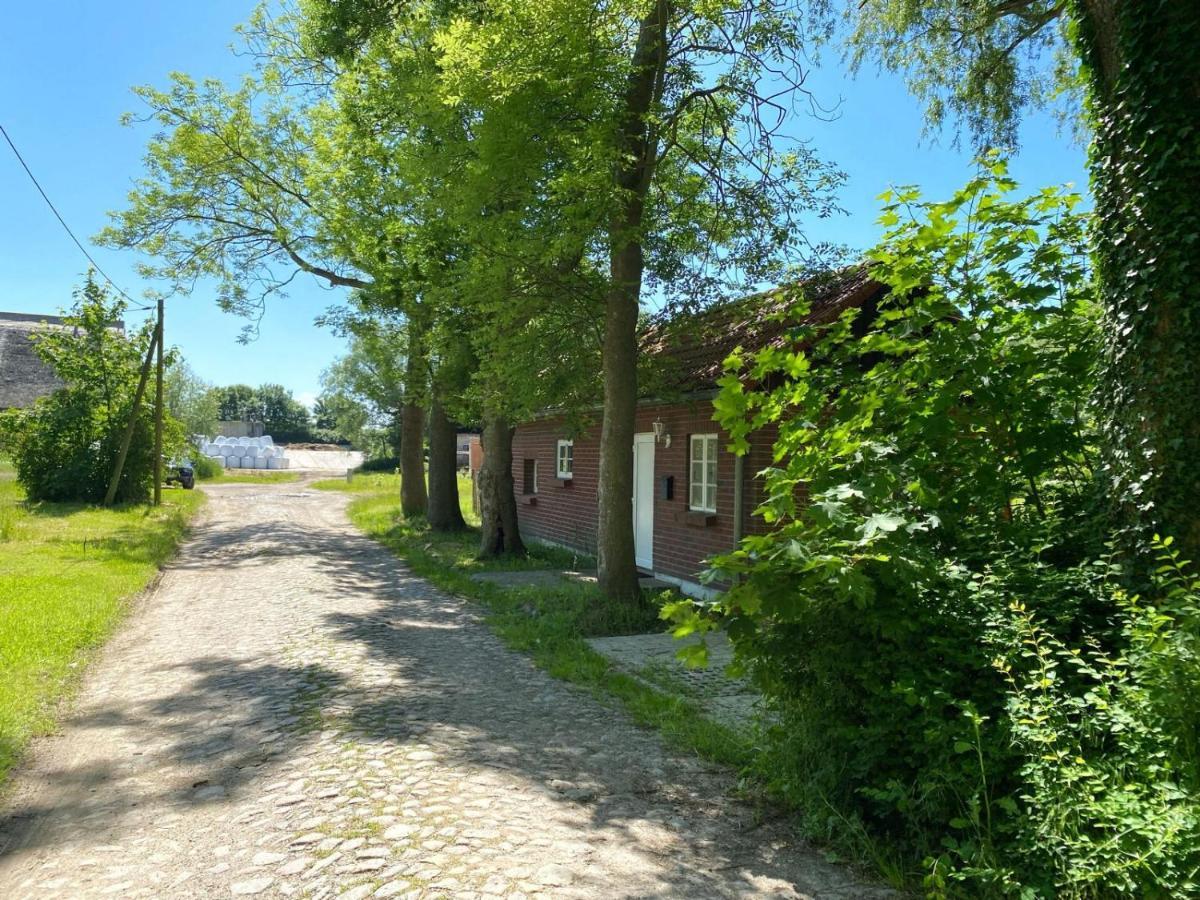 Hofgut Bisdamitz - Ferienhaus "Knoff" Buitenkant foto