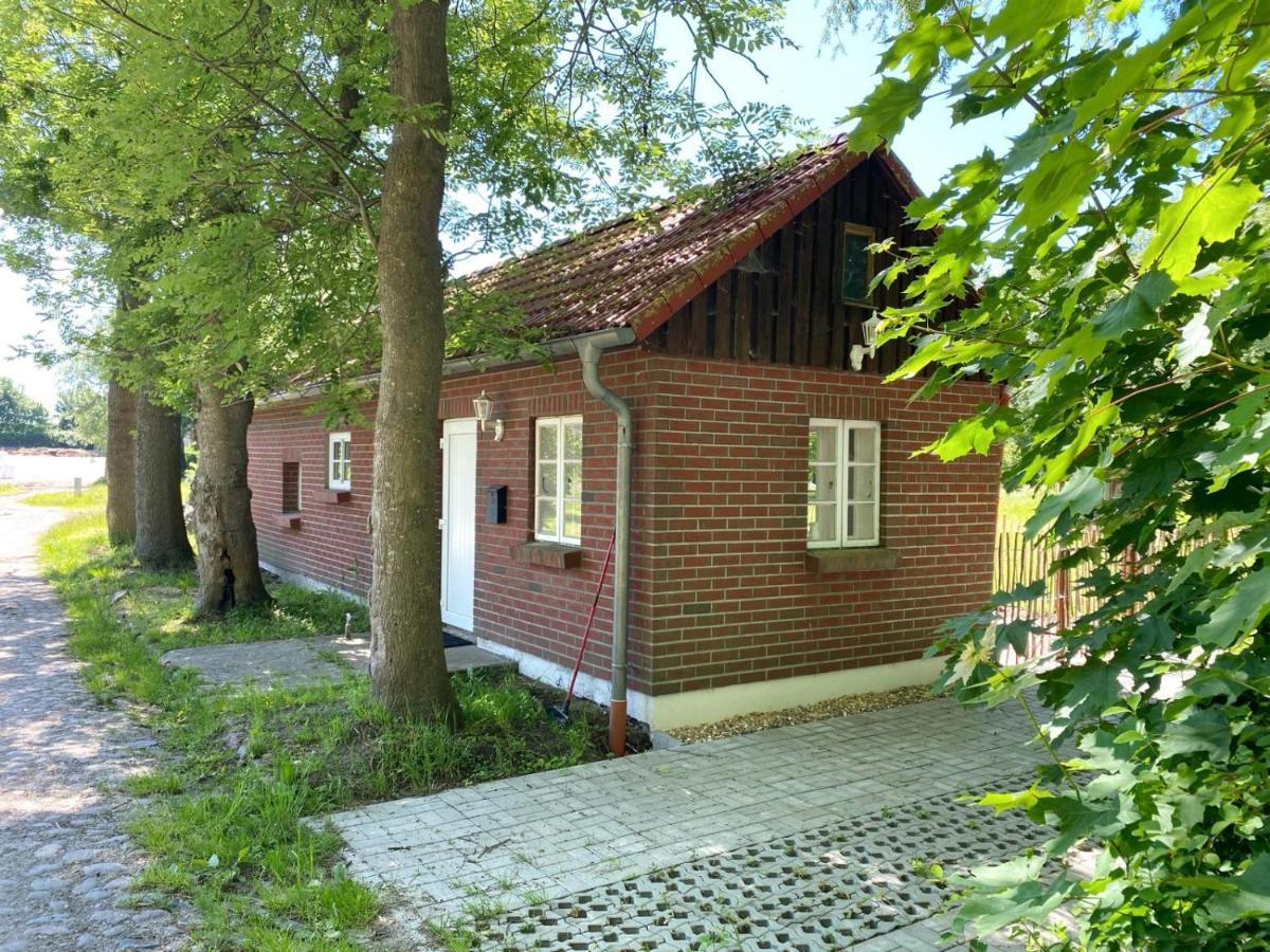 Hofgut Bisdamitz - Ferienhaus "Knoff" Buitenkant foto