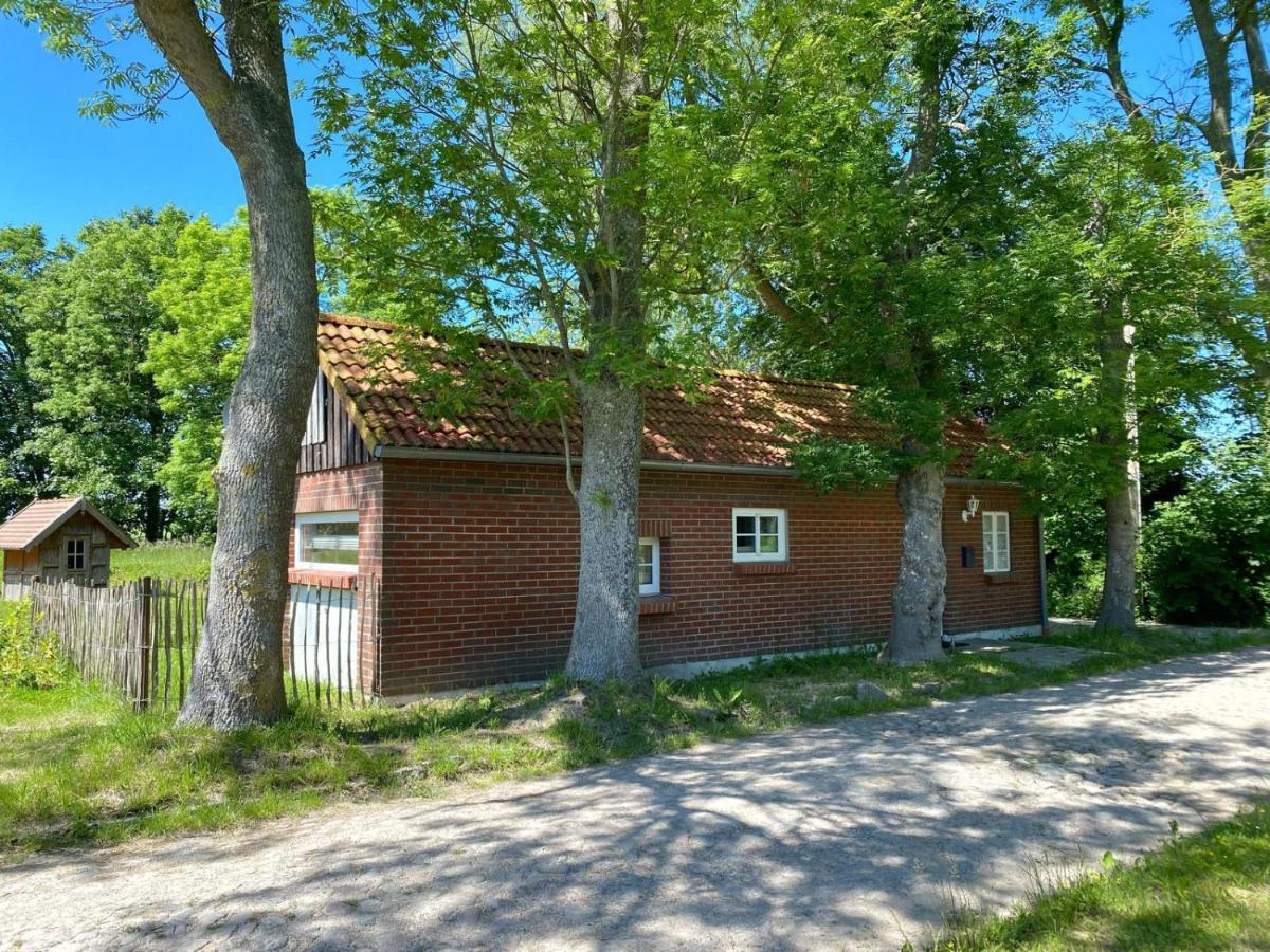 Hofgut Bisdamitz - Ferienhaus "Knoff" Buitenkant foto